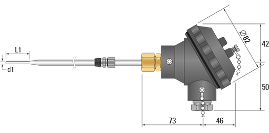 RTD, PRT, Pt100 Sensor with IP67 Bakelite head